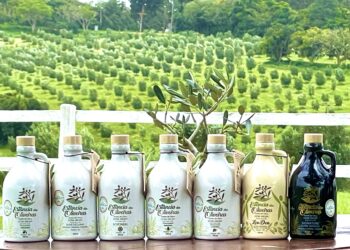 Produto fabricado em Viamão supera europeus e conquista prêmio mundial