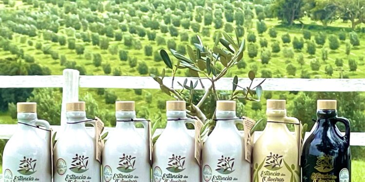 Produto fabricado em Viamão supera europeus e conquista prêmio mundial