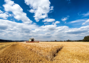Preocupação no Agro: pesquisa revela dicas para produtores não terem problemas durante o El Niño