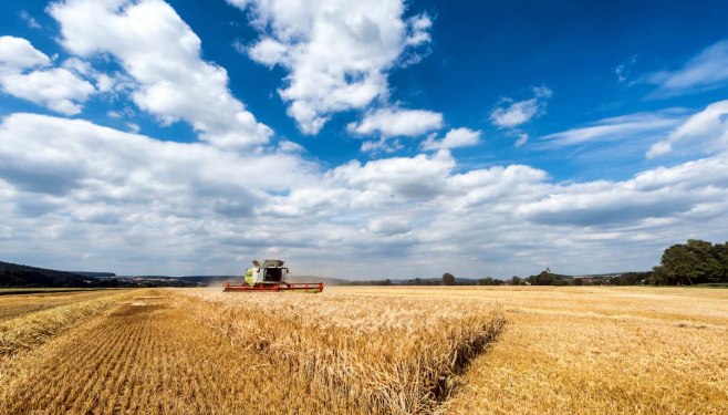 Preocupação no Agro: pesquisa revela dicas para produtores não terem problemas durante o El Niño