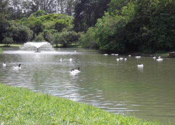 Após morte de 15 animais, Governo fecha zoológico por tempo indeterminado