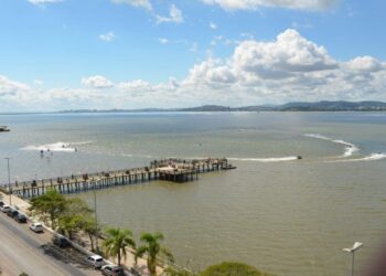 Investigação confirma presença de superbactéria no Guaíba