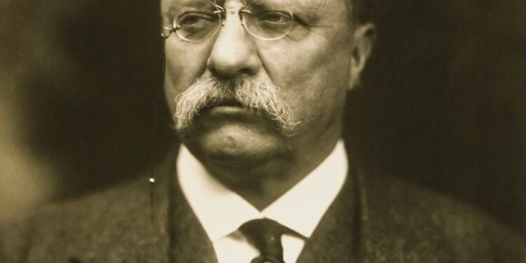 Theodore Roosevelt, histórico presidente americano, falou sobre perseverança: “Faça o que puder, com o que tiver, onde estiver”