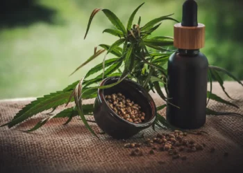 Cannabis medicinal: Anvisa facilita prescrição e cultivo está liberado para exportação no Brasil