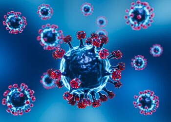 Quarentena obrigatória para contaminados: OMS revela recomendações para combater o hantavírus