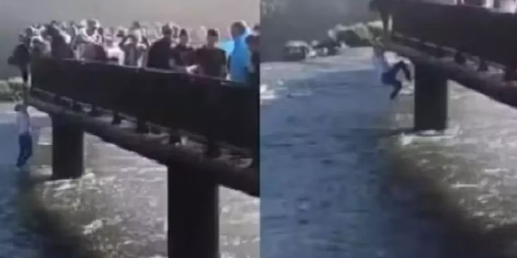 Após pular nas águas das Cataratas do Iguaçu, turista pode ser multado e banido do local
