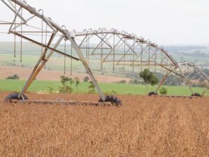 Agropecuária lidera aumento de 16,6% das exportações em outubro