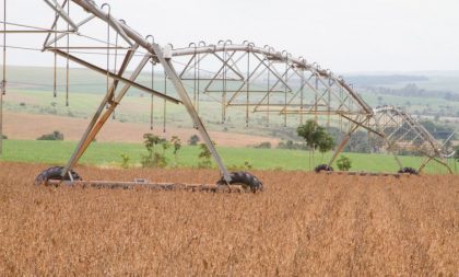 Agropecuária lidera aumento de 16,6% das exportações em outubro