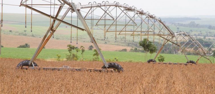 Agropecuária lidera aumento de 16,6% das exportações em outubro