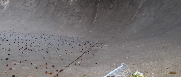 Arredores de pista de skate concentram uso de bebida e vandalismo