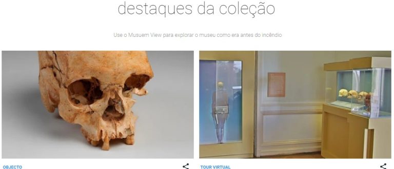 Google Arts & Culture lança tour virtual pelo Museu Nacional