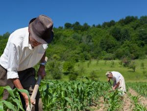 Novas regras da previdência rural iniciam em janeiro