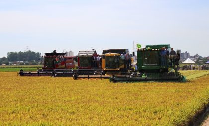 Abertura da Colheita do Arroz 2019 será em Capão do Leão