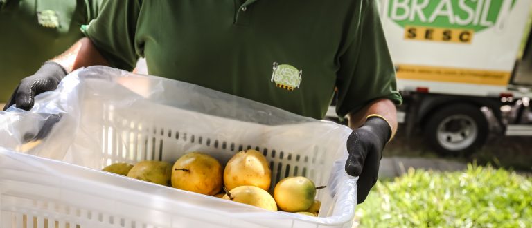 Cachoeira do Sul: Mesa Brasil Sesc distribuiu mais de 105 toneladas de alimentos em 2018