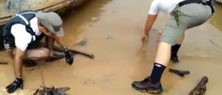 Brigada combate pesca predatória no Rio Jacuí