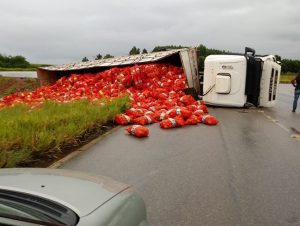 Carreta tombada espalha cebolas e batatas na BR-471