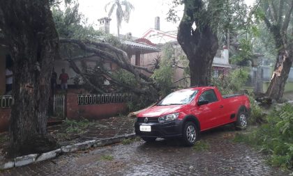 Árvore cai sobre o prédio do CAPs e interrompe rua