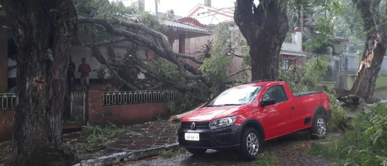 Árvore cai sobre o prédio do CAPs e interrompe rua