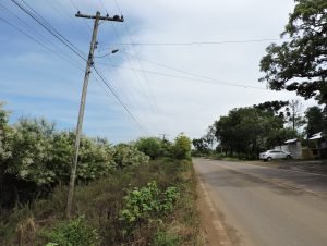 Matagal e sujeira na Estrada da Ferreira assusta moradores