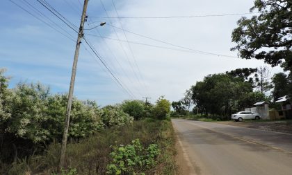 Matagal e sujeira na Estrada da Ferreira assusta moradores