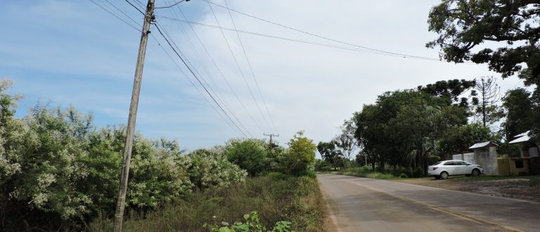 Matagal e sujeira na Estrada da Ferreira assusta moradores