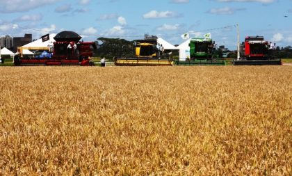 29ª Abertura Oficial da Colheita do Arroz segue até sexta (22)