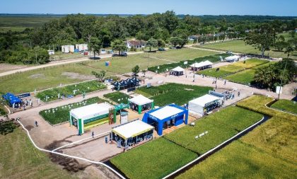 Vitrines Tecnológicas apresentam inovações para as lavouras gaúchas