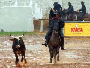 Fim de semana de laço no 7º Rodeio do PL Cabanha Quinhéca