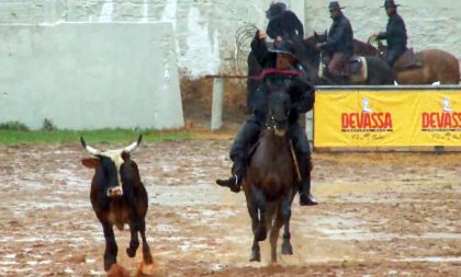 Fim de semana de laço no 7º Rodeio do PL Cabanha Quinhéca