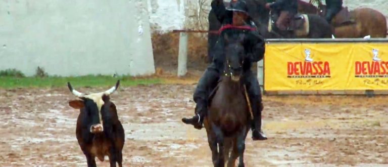 Fim de semana de laço no 7º Rodeio do PL Cabanha Quinhéca