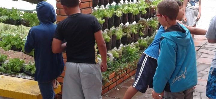 Escola Ciep aproveita bombonas de água para projeto ambiental