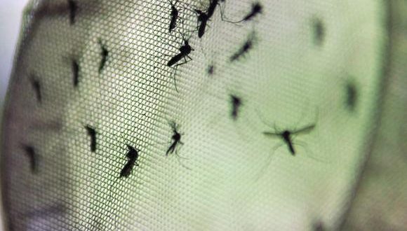 Vigilância confirma caso de Dengue no Cristo Rei