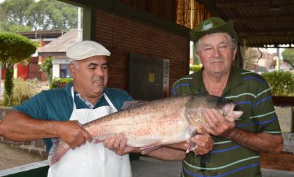 Vem aí mais uma edição da Feira do Peixe Vivo