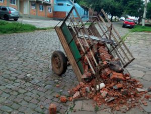 Meio Ambiente recolhe animal por maus tratos após acidente