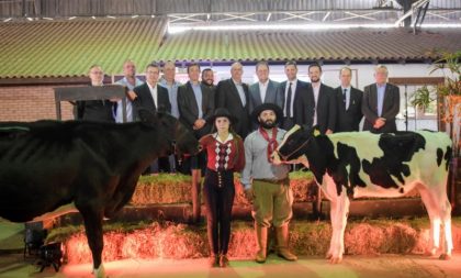 Expoleite e Fenasul são atrações no Parque Assis Brasil, em Esteio