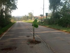 Protesto inusitado contra a buraqueira no Passo D’Areia