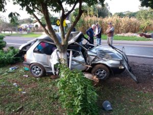 Colisão contra árvore mata motorista na RSC-481