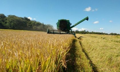 Produtores gaúchos concluem colheita do arroz da safra 2018/2019