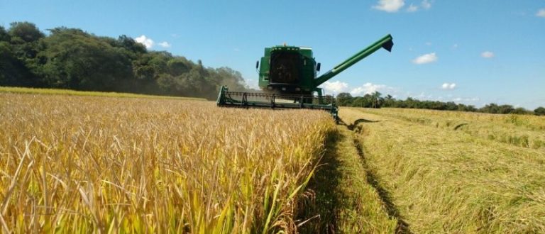 Produtores gaúchos concluem colheita do arroz da safra 2018/2019