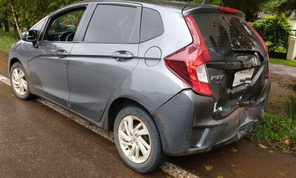 Cavalo solto na pista causa acidente com carro de Cachoeira do Sul