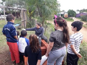 Na cordilheira, estudantes participam de projeto para melhorar a escola