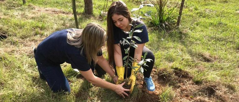 Estudantes do Marista Roque incentivam o reflorestamento de áreas verdes