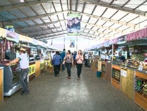 Agricultura familiar terá mais expositores na Expointer 2019