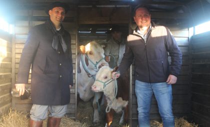 Primeiros animais chegam à Expointer, em Esteio