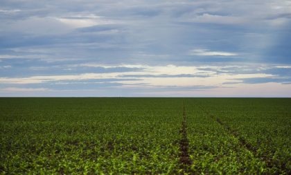 Presidente de Frente Parlamentar defende agricultores sobre uso de defensivos