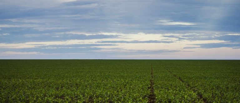 Presidente de Frente Parlamentar defende agricultores sobre uso de defensivos