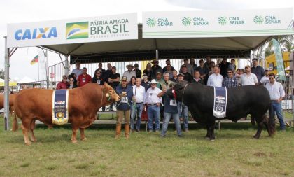 Cacaio Lima leva os grandes campeonatos Limousin na Expointer