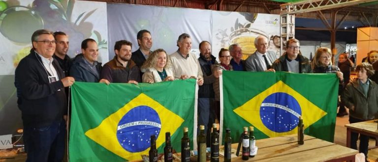 Ibraoliva na Expointer destaca a Rota das Oliveiras no RS