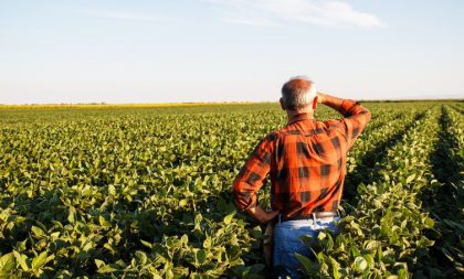 Declaração do Imposto Rural começa nesta segunda-feira (12)