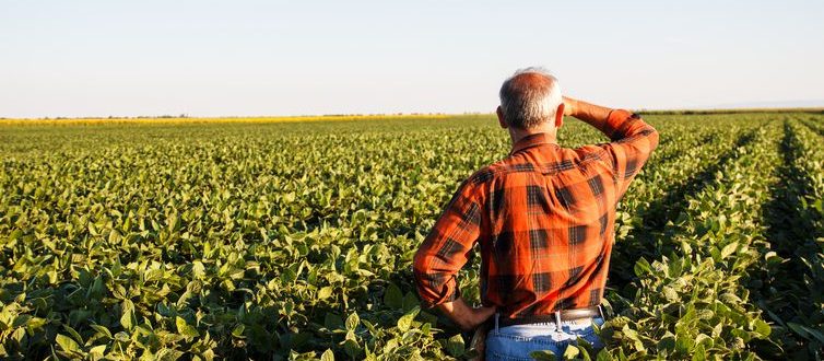 Declaração do Imposto Rural começa nesta segunda-feira (12)